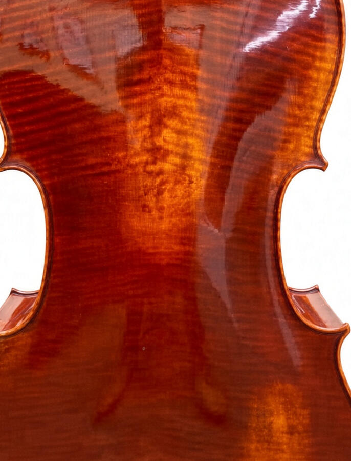 Cello (back) Cello (back)