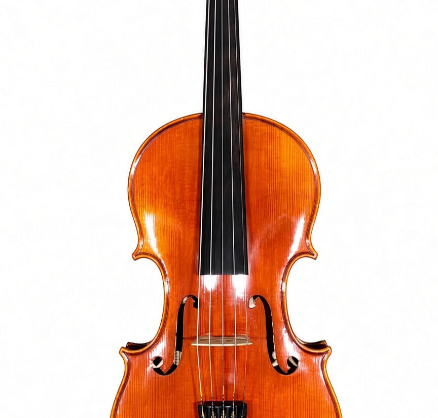 Violin Violin